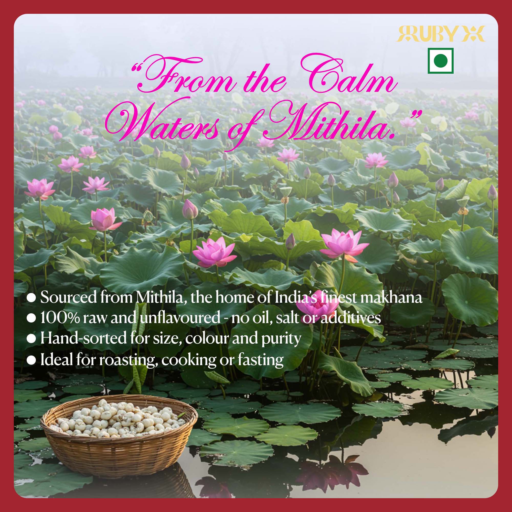 RUBYX Raw Makhana 250g (Alt view 2)